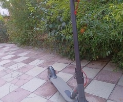 Skuter
