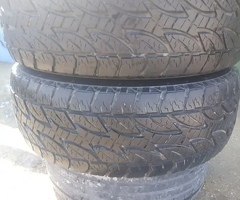 Şinlər və disklər, Bridgestone təkəri