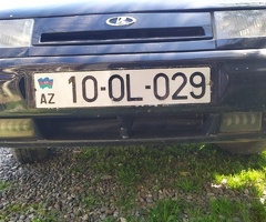 10-OL-029