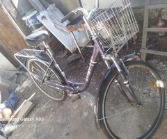 Velosiped