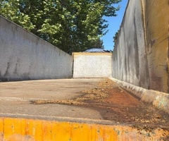 2007