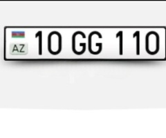 10-GG-110