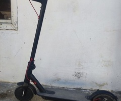 Skuter