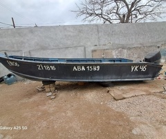 2019