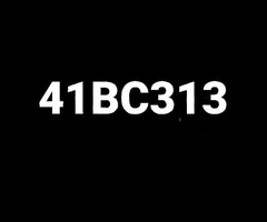 41-BC-313
