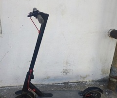 Skuter