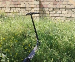 Skuter