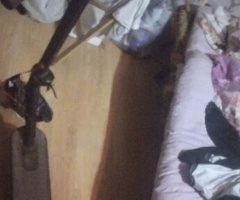 Skuter, Skooter