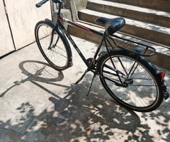 Velosiped, Velosiped