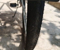 Velosiped, Velosiped