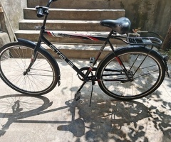 Velosiped, Velosiped