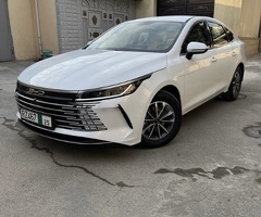 BYD  Destroyer 05, 2024, 1.5L, Variator