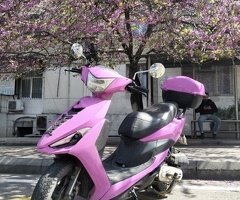 Moped, 2021, 0.05L, 50000 km