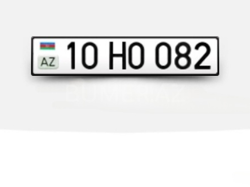 10-HO-082