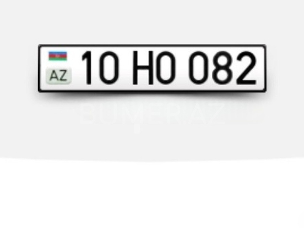 10-HO-082