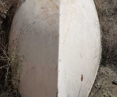 2007