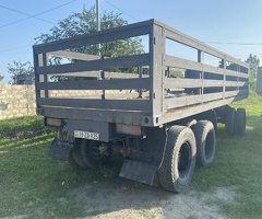 1981