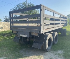 1981