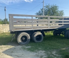 1981