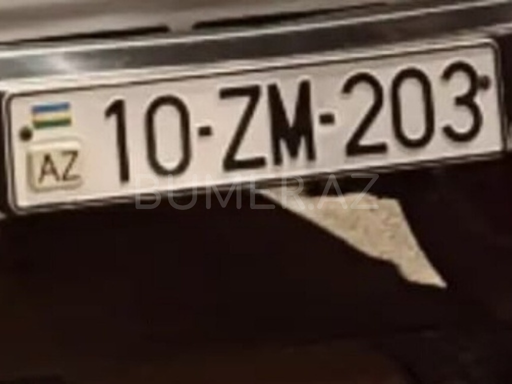 10-ZM-203