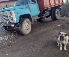 53, 1988, 4.5L, 200000 km, Mexanika
