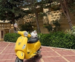 Moped, 2022, 0.15L, 9200 km
