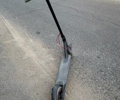 Skuter