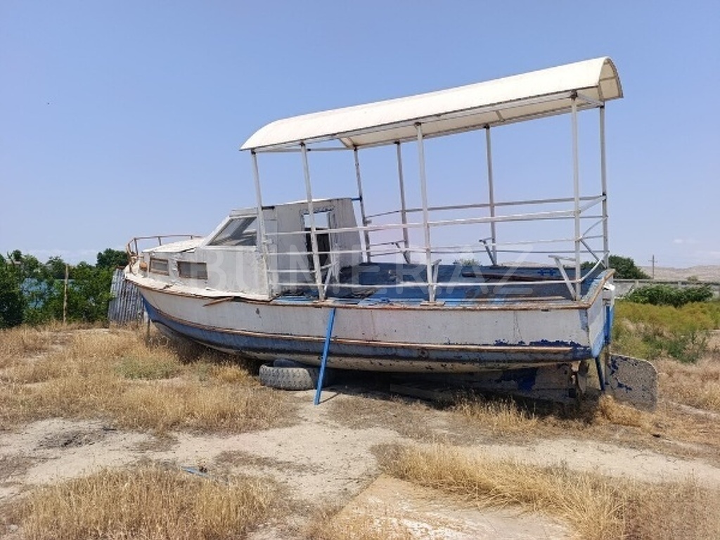1982