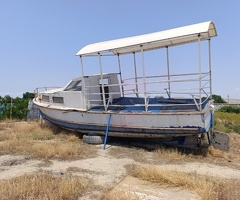 1982