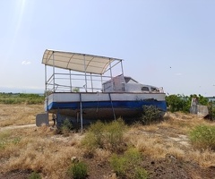 1982