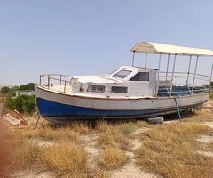 1982