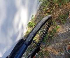 Velosiped