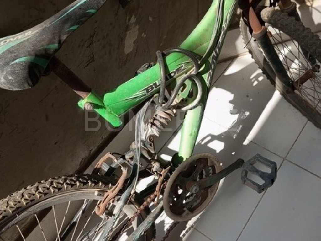 Velosiped