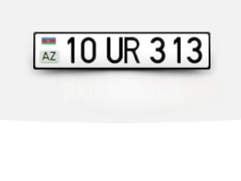 10-UR-313