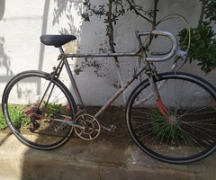 Velosiped
