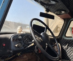 53, 1991, 4.5L, 711280 km, Mexanika