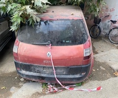 Renault  Scenic, 2009, 1.5L, 30000 km, Mexanika