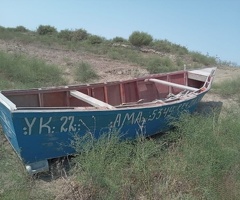 Taxta qayıq, 1976