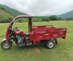 Motosiklet, 2024, 0.20L, 1111 km