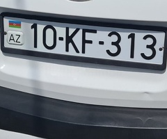 10-KF-313