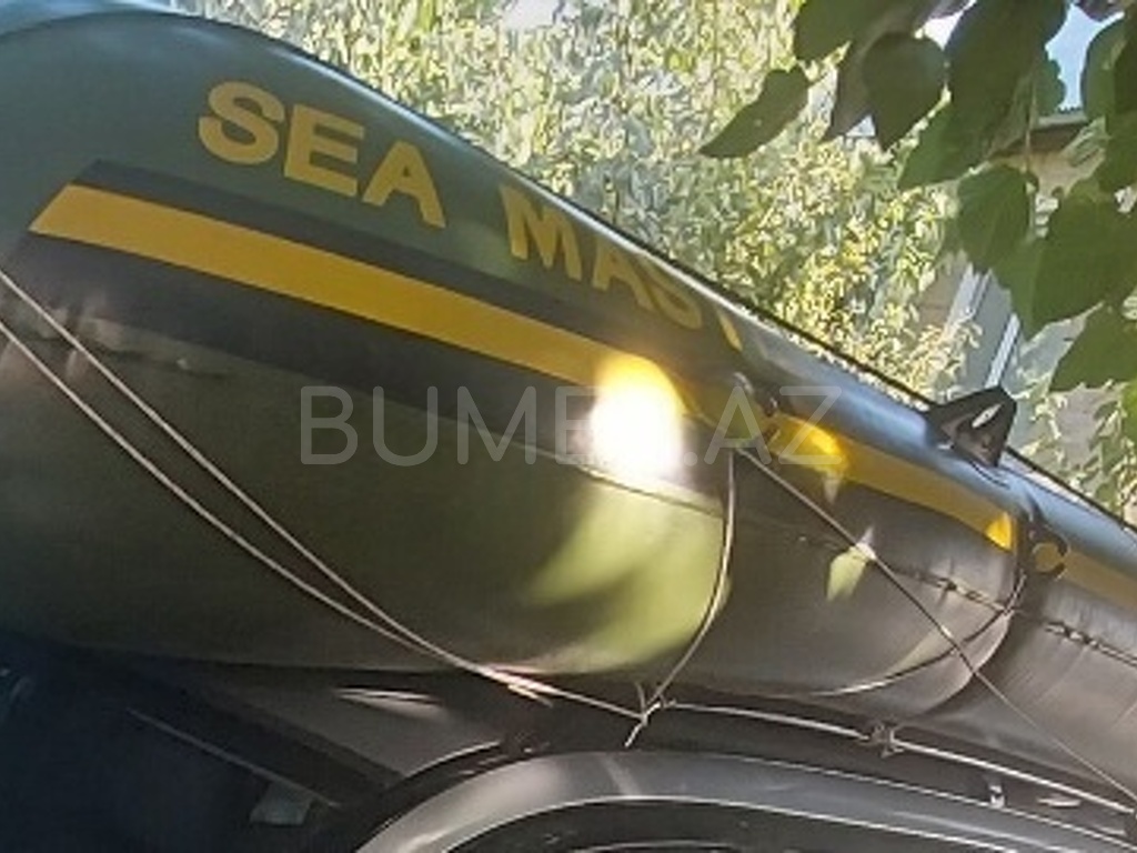 2019