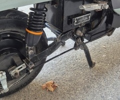 Moped, 2024, 1000 km