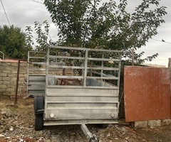 2010
