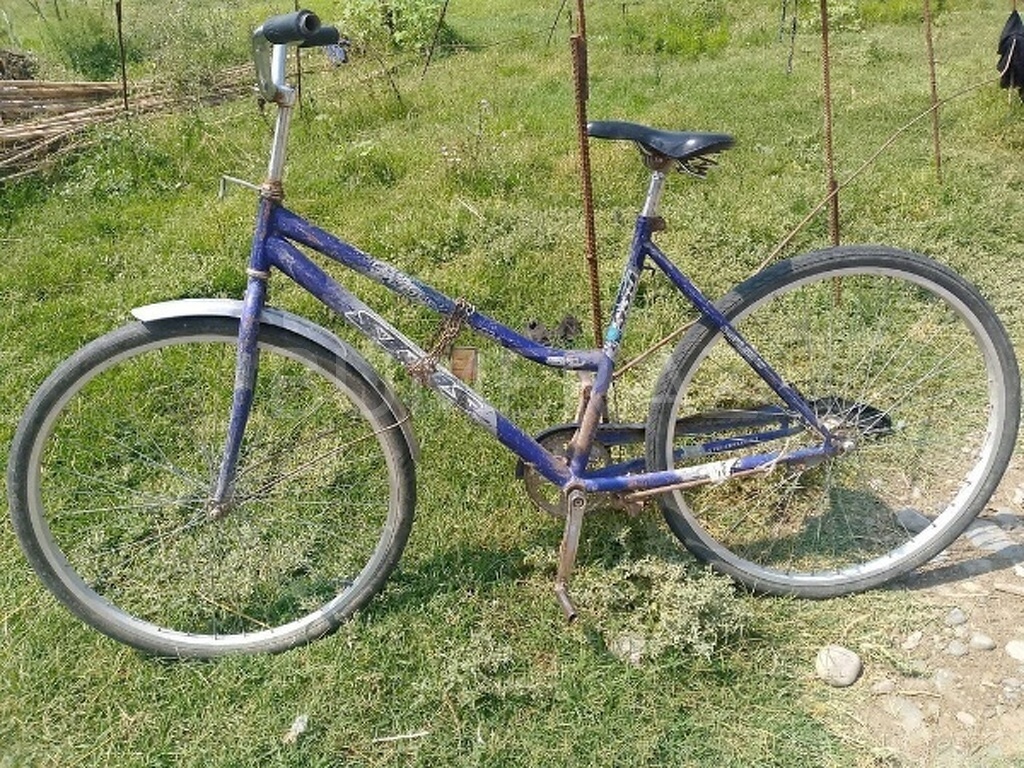 Velosiped