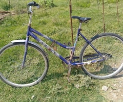 Velosiped