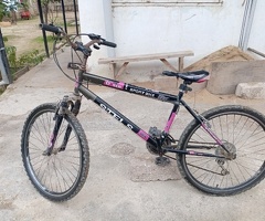 Velosiped