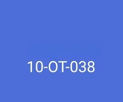10-OT-038