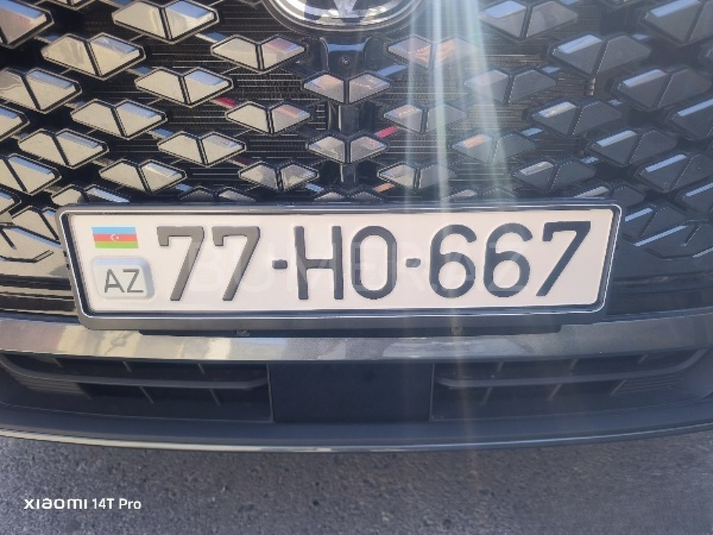 77-HO-667
