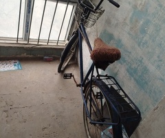 Velosiped