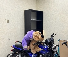 Motosiklet, 2025, 0.05L